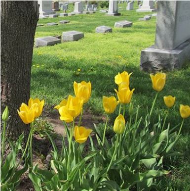 Green Hills Mortuary